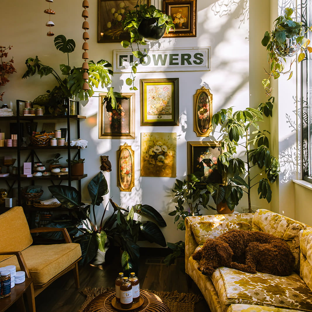 Living room with plants, artwork, and a dog on a couch