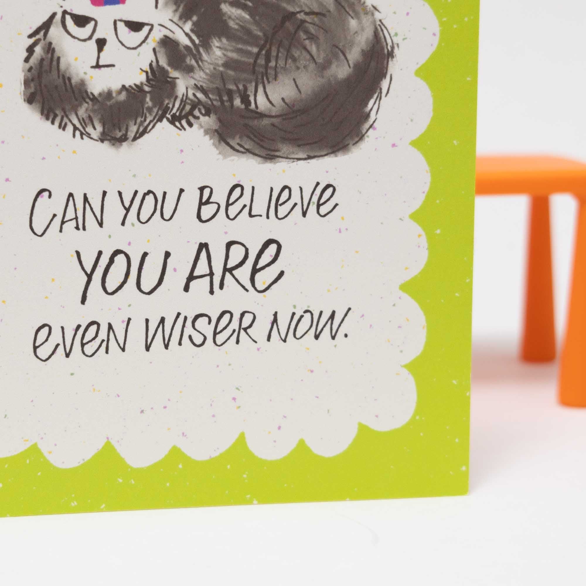 Funny Birthday Card | Even Wiser Now Cat Card, A2 - Esther Nariyoshi