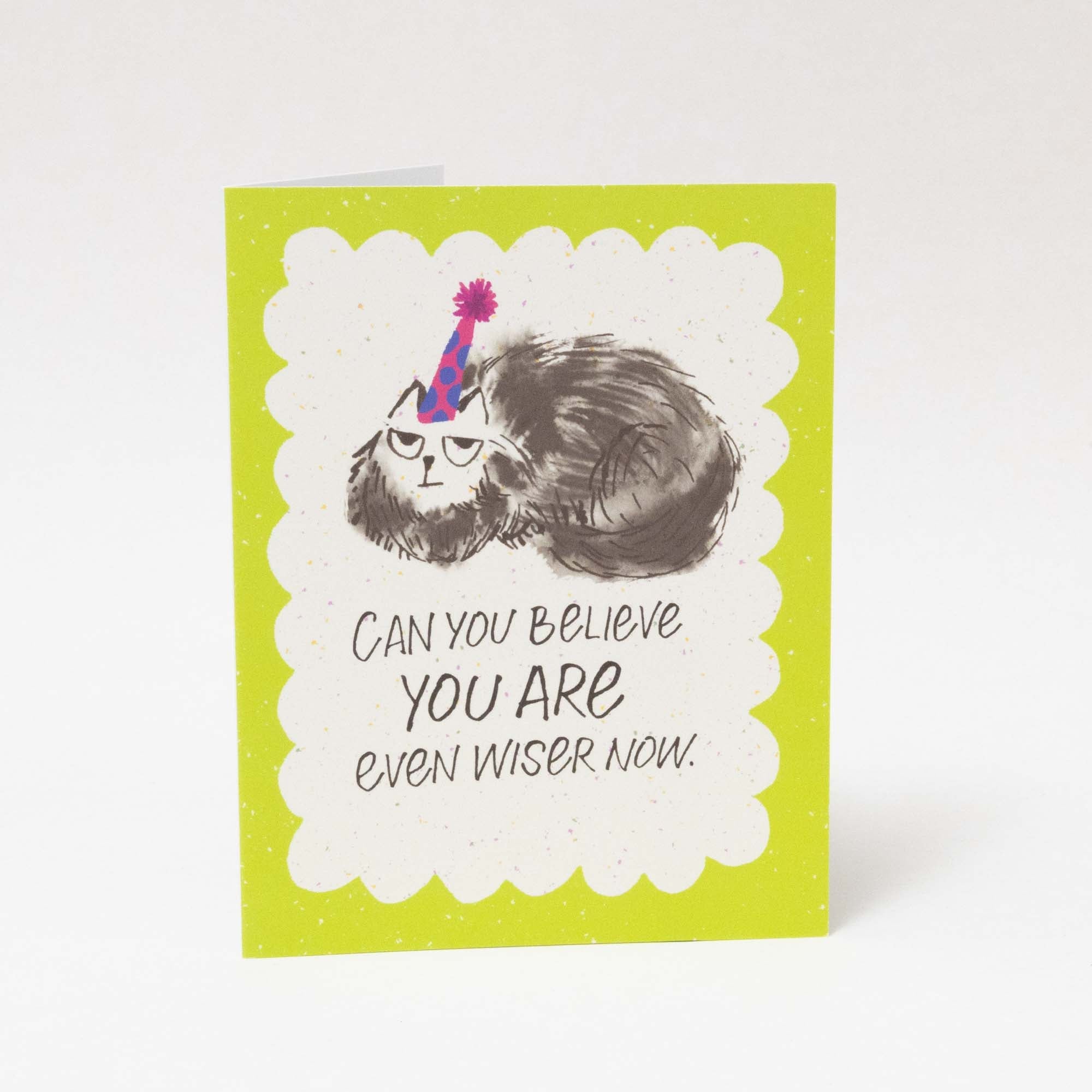 Funny Birthday Card | Even Wiser Now Cat Card, A2 - Esther Nariyoshi